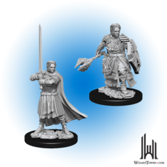 D&D Nolzur's Marvelous Miniatures: Male Human Cleric